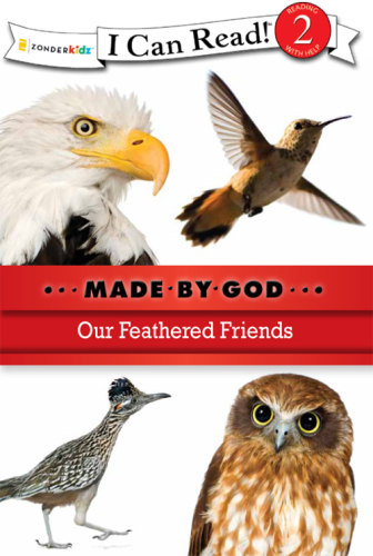 Our Feathered Friends: Level 2