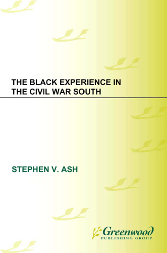 The Black Experience in the Civil War South