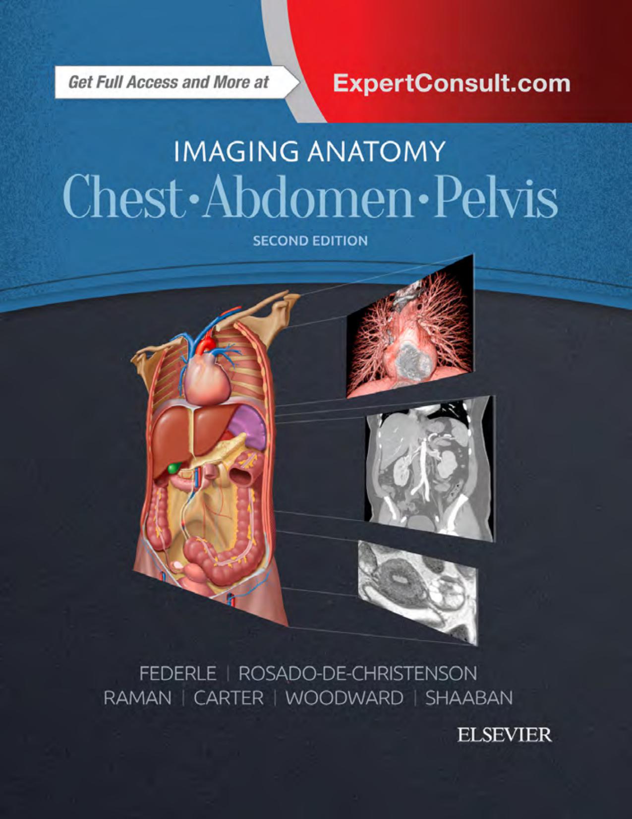 Chest, abdomen, pelvis