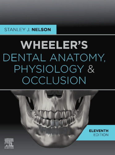 WHEELER’S DENTAL ANATOMY,PHYSIOLOGY, AND OCCLUSION