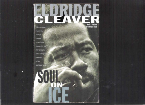 Soul on Ice