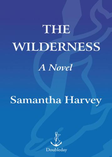The wilderness