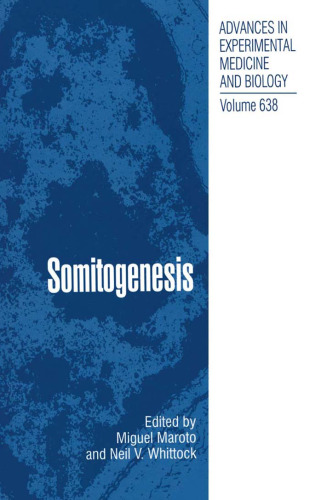 Somitogenesis