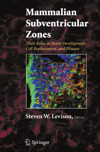 Mammalian Subventricular Zones: Their Roles in Brain Development, Cell Replacement, and Disease