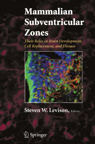 Mammalian Subventricular Zones: Their Roles in Brain Development, Cell Replacement and Disease