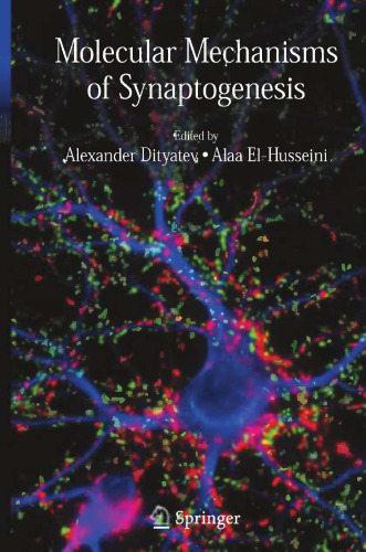 Molecular Mechanisms of Synaptogenesis