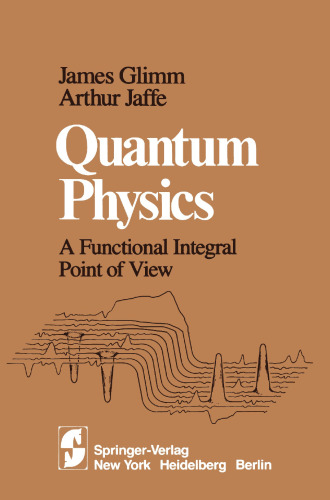 Quantum Physics: A Functional Integral Point of View