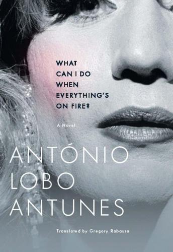 What Can I Do When Everything’s On Fire. A novel