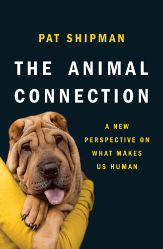The animal connection: a new perspective on what makes us human
