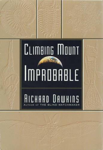 Climbing mount improbable