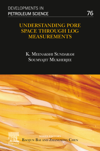 Understanding Pore Space through Log Measurements (Volume 76) (Developments in Petroleum Science, Volume 76)