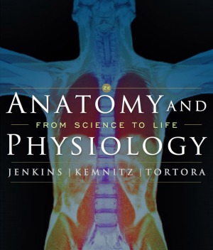 Anatomy and Physiology From Science to Life