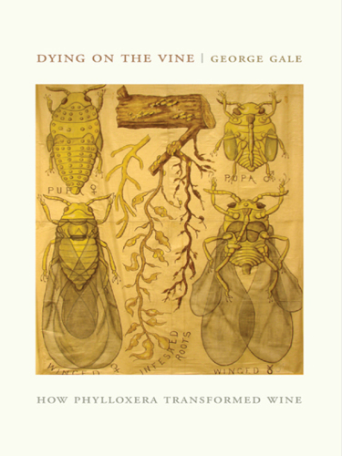 Dying on the vine: how phylloxera transformed wine