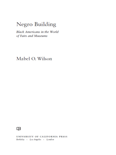 Negro building: Black Americans in the world of fairs and museums