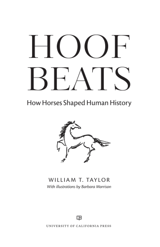 Hoof Beats