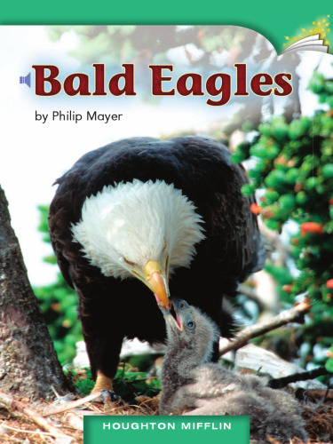Bald Eagles