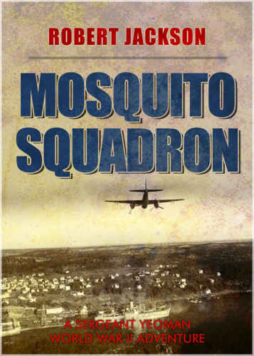 Mosquito Squadron : Yeoman in the battle over Germany