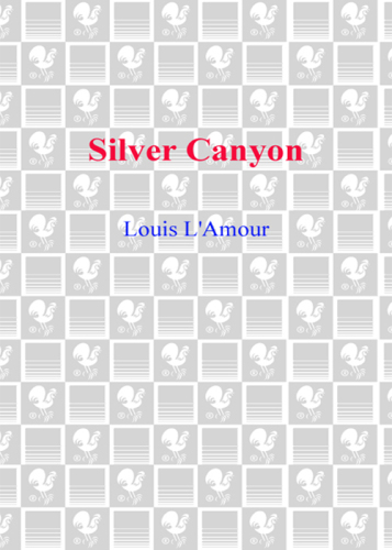 Silver Canyon: A Novel