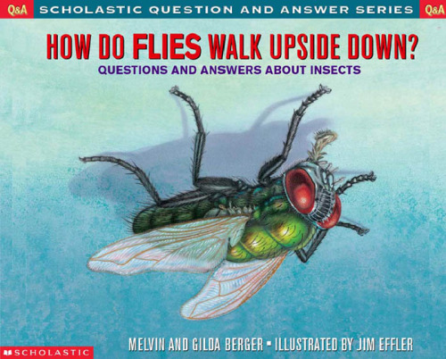 How Do Flies Walk Upside Down?: Questions and Answers About Insects