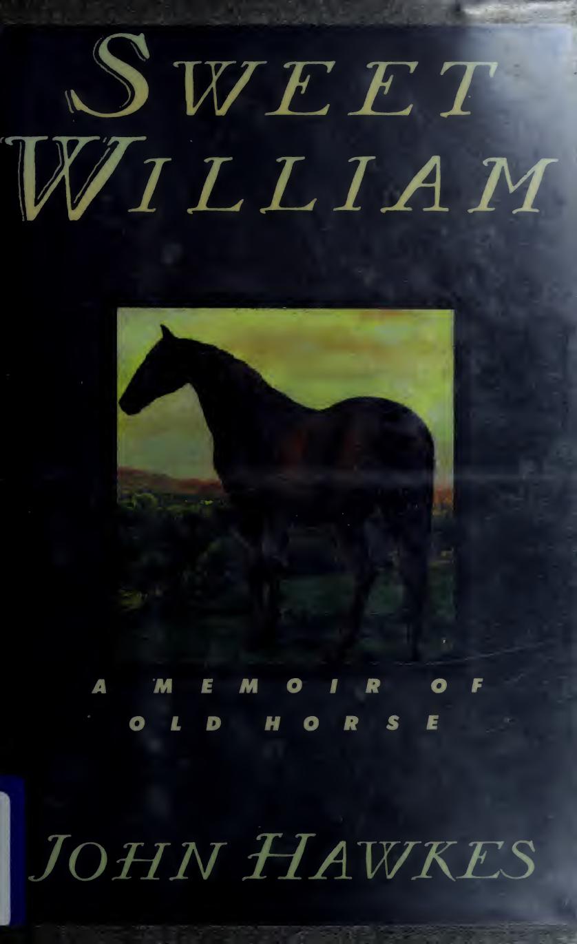 Sweet William: A Memoir of Old Horse