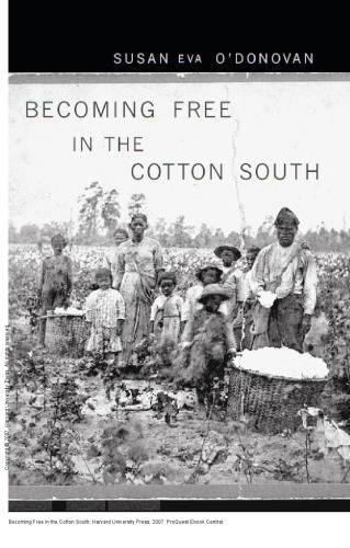 Becoming Free in the Cotton South