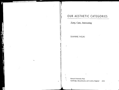 Our Aesthetic Categories : Zany, Cute, Interesting