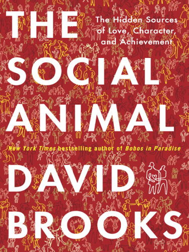 Social Animal: The Hidden Sources of Love, Character and Achievement