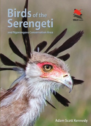 Birds of the Serengeti And Ngorongoro Conservation Area