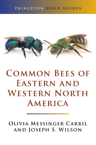 Common bees of Eastern and Western North America (2-volume set)