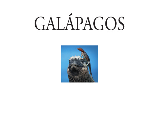 Galápagos: Life in Motion