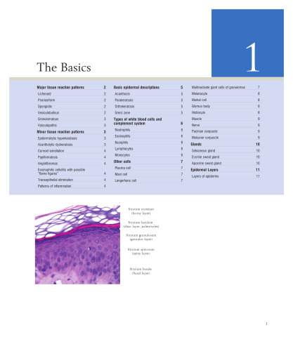 Weedon's Skin Pathology Essentials