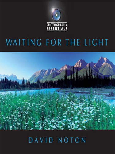 Photography Essentials: Waiting for the Light