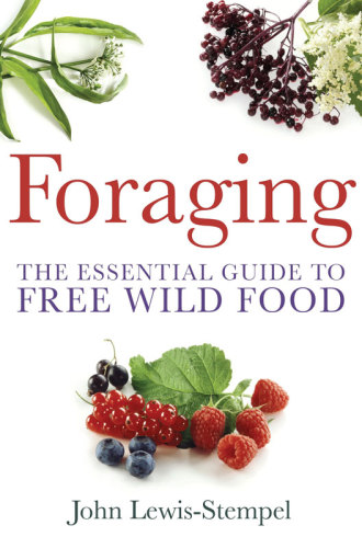 Foraging: the essential guide to free wild food