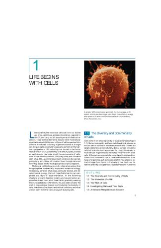 Molecular Cell Biology