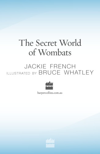 The Secret World of Wombats