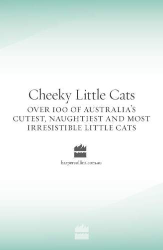 Cheeky Little Cats