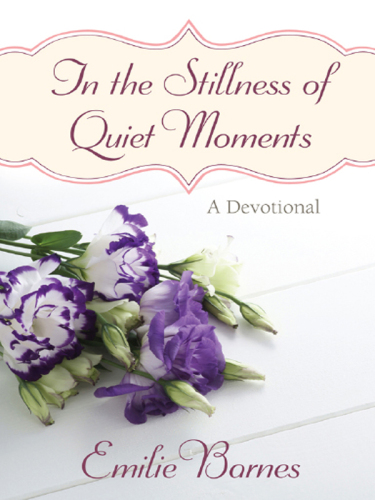 In the Stillness of Quiet Moments: A Devotional