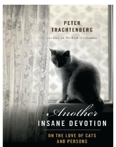 Another insane devotion on the love of cats and persons
