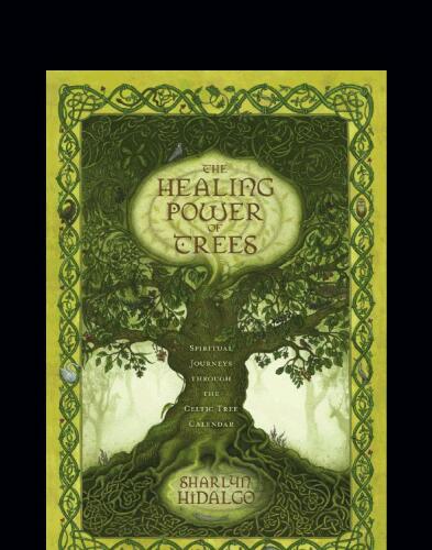 The Healing Power of Trees: Spiritual Journeys Through the Celtic Tree Calendar