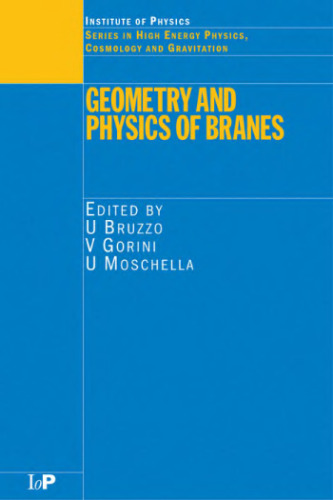 Geometry and physics of branes