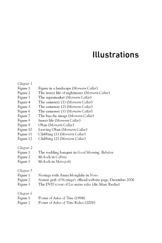 Theorizing World Cinema