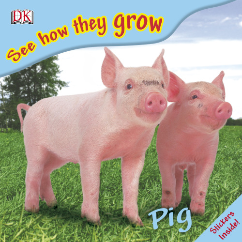 Pig