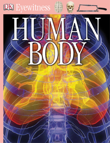 Human Body