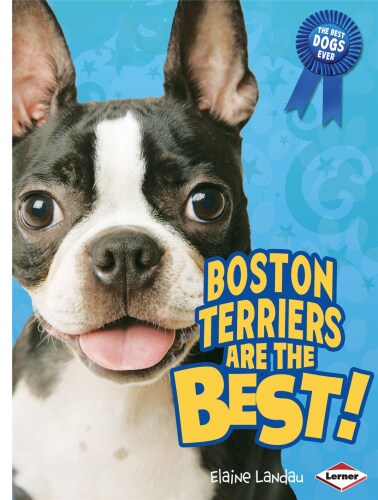 Boston Terriers Are the Best!
