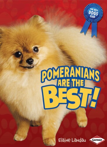 Pomeranians Are the Best!