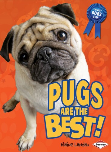 Pugs Are the Best!