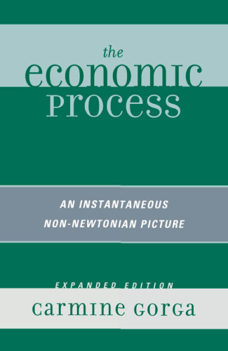 The Economic Process : An Instantaneous Non-Newtonian Picture