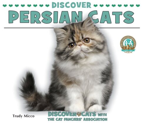 Discover Persian Cats