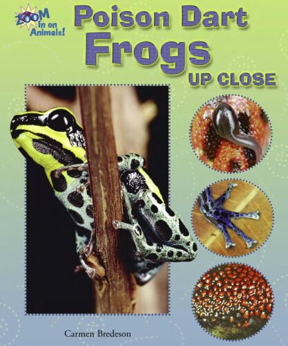 Poison Dart Frogs Up Close