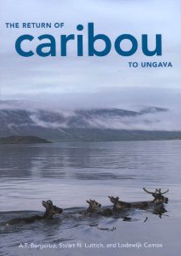 Return of Caribou to Ungava